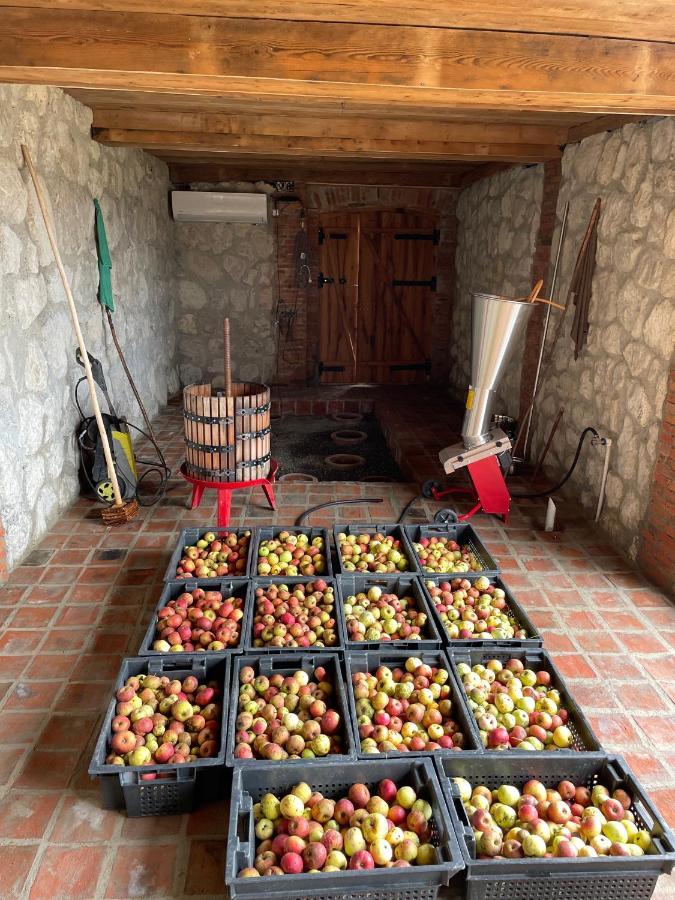 فندق أمبرولاوريفي  Sadmeli Winery المظهر الخارجي الصورة