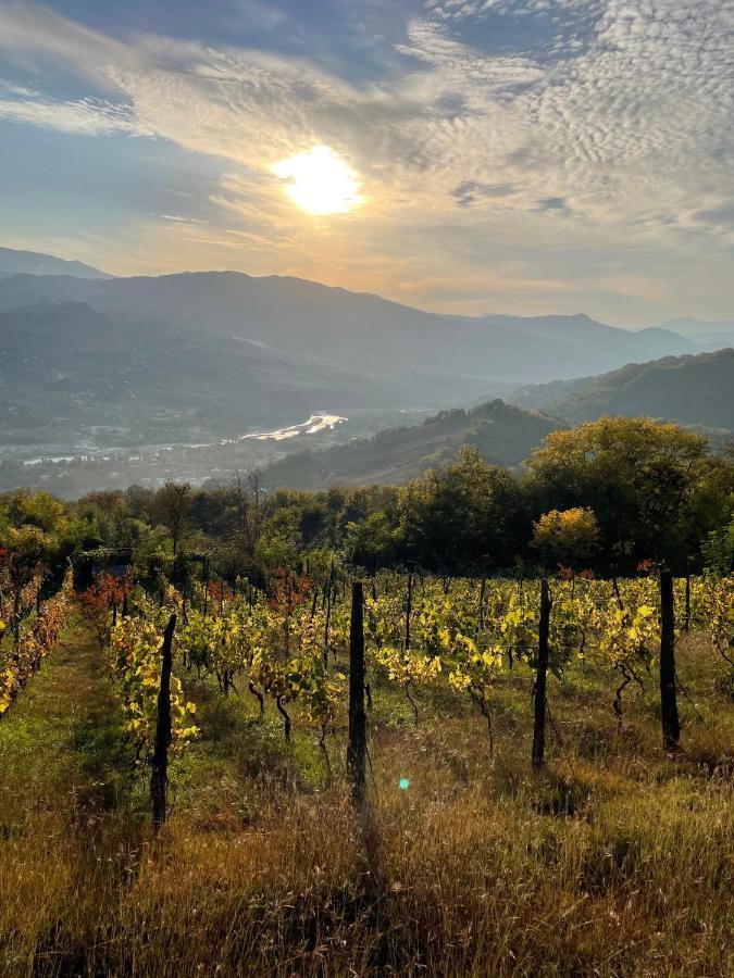 فندق أمبرولاوريفي  Sadmeli Winery المظهر الخارجي الصورة