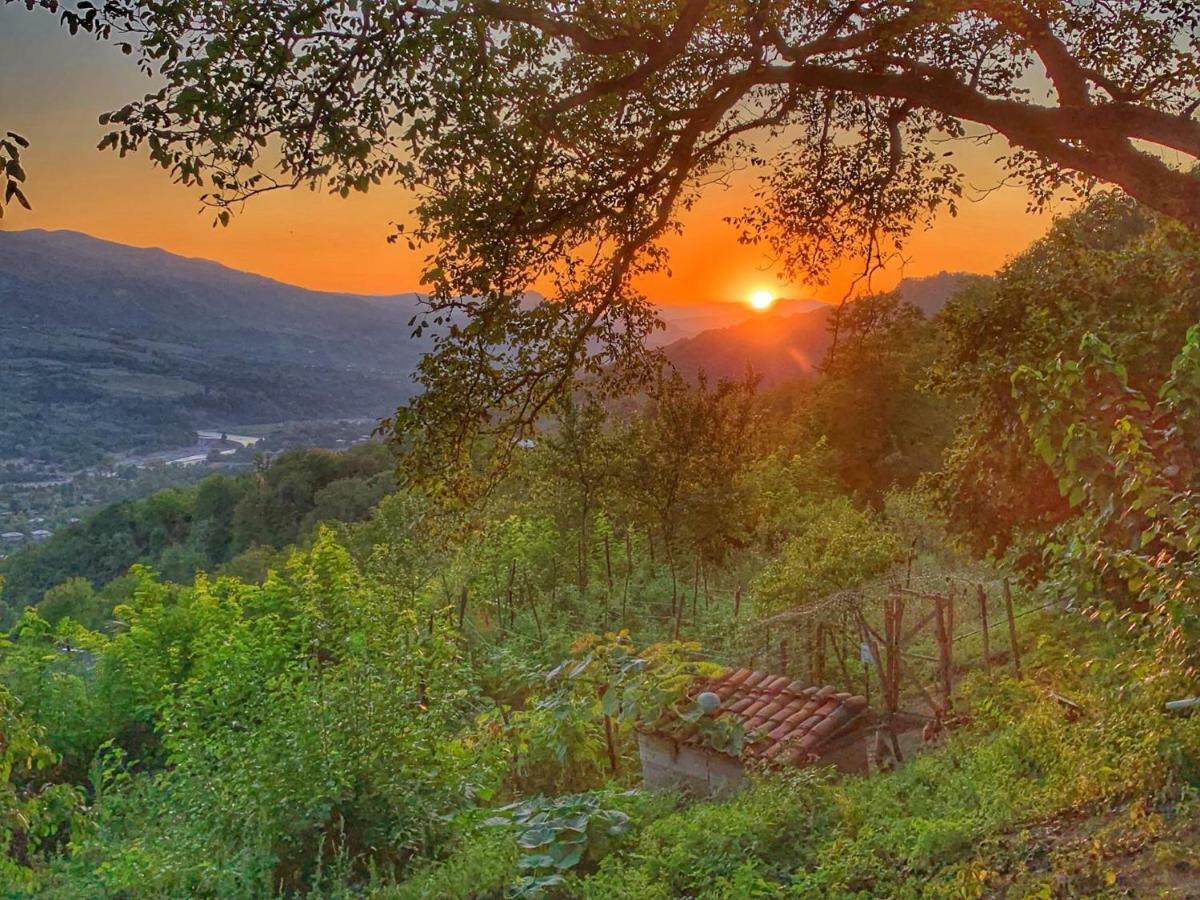 فندق أمبرولاوريفي  Sadmeli Winery المظهر الخارجي الصورة